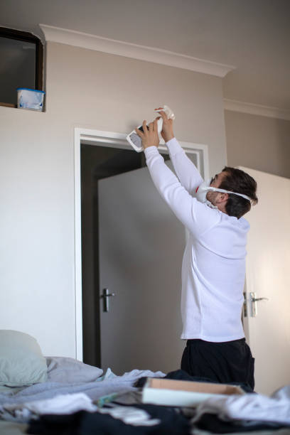 Best Mold Documentation for Insurance Claims  in Sidney, MT