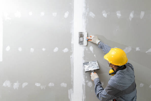 Trusted Sidney, MT Mold Removal Experts