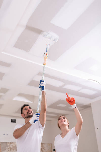 Best Commercial Mold Inspection  in Sidney, MT