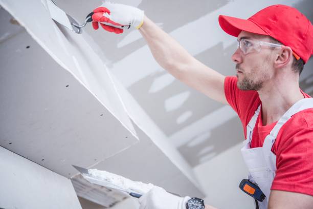 Best Black Mold Removal  in Sidney, MT