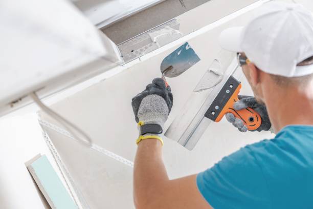Best Mold Odor Removal Services  in Sidney, MT